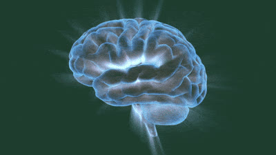 Glowing blue brain