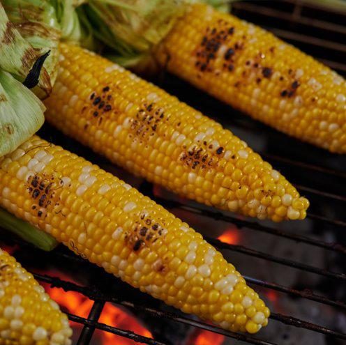 Ears of corn charring on a grill over hot coals