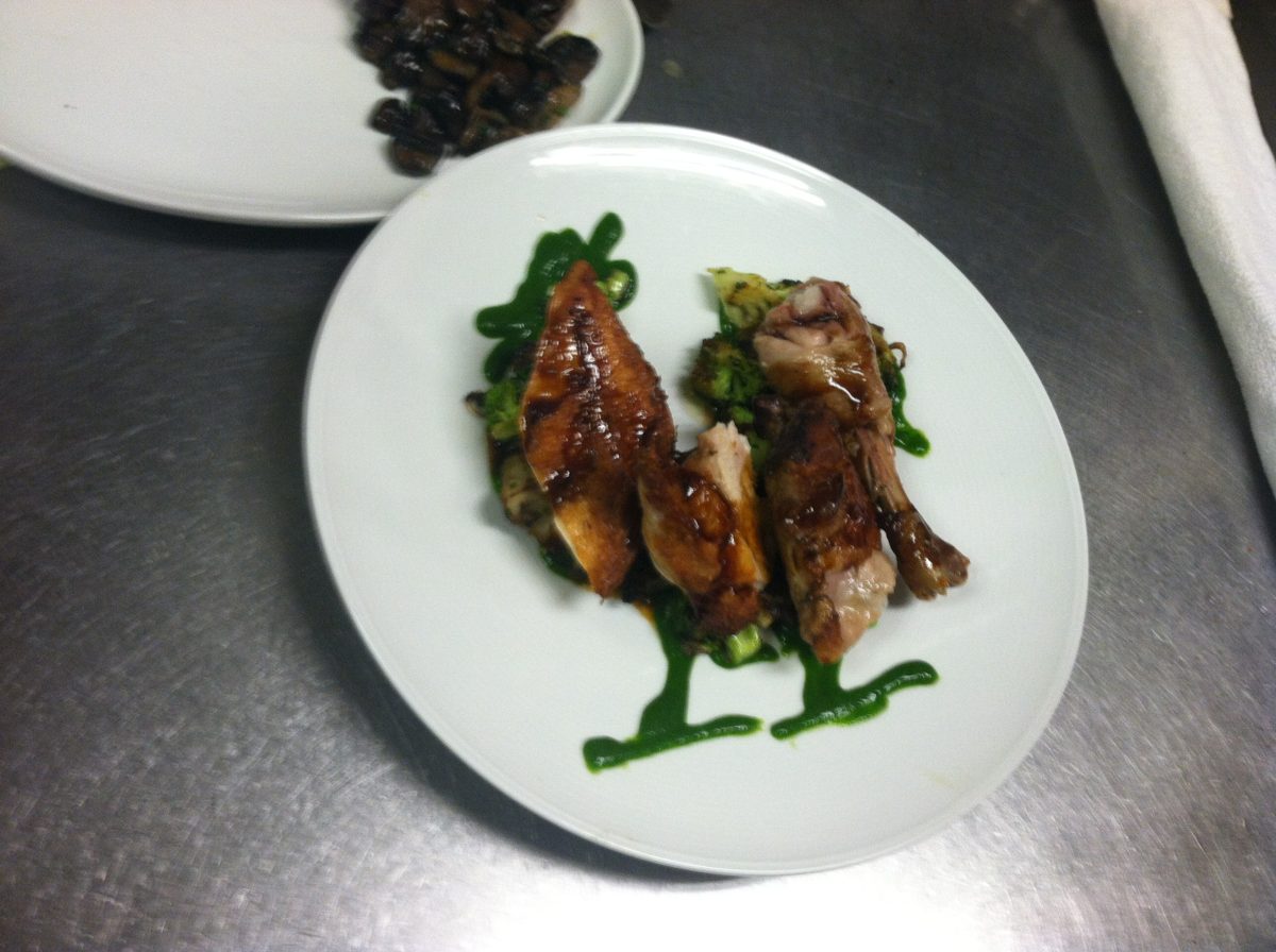Roasted chicken pieces over vegetables with green herb sauce on a white plate