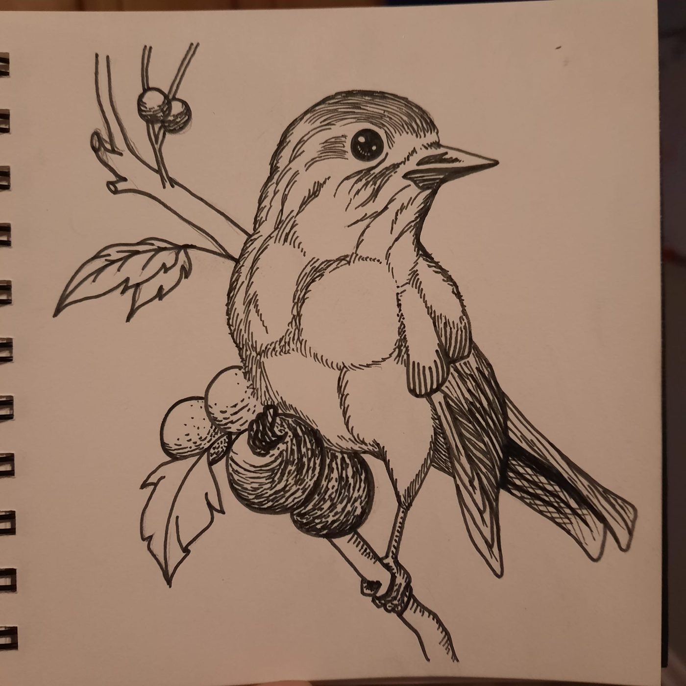 Ink sketch of a small bird perched on a berry branch