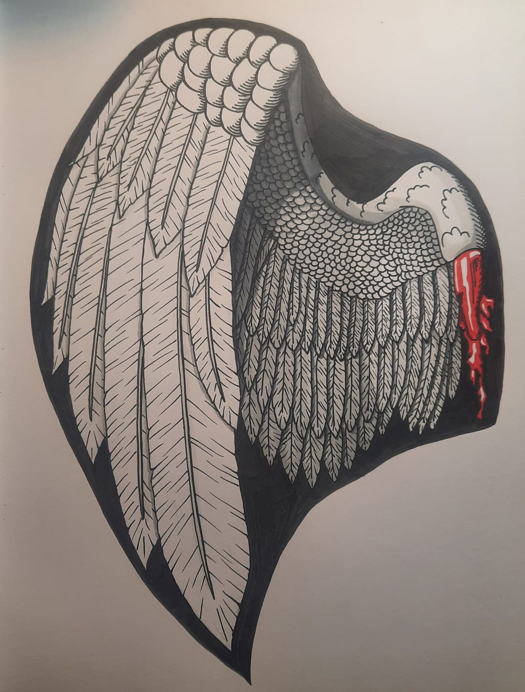 Ink and marker drawing of a feathered wing with a red accent