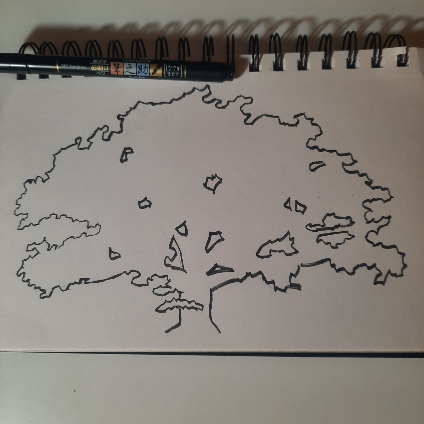 Brush-pen outline of a broad tree in a sketchbook